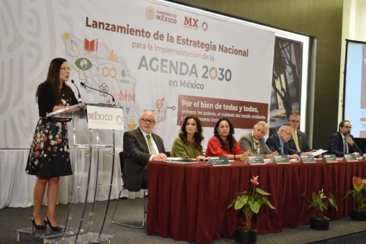 Desigualdad y Bajo Crecimiento Afecta a Sociedad Mexicana,  Laura Rojas