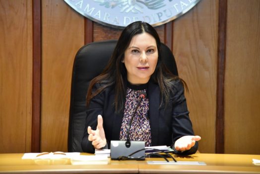 Parlamento Abierto para la Elección de Consejeros de INE, Laura Rojas