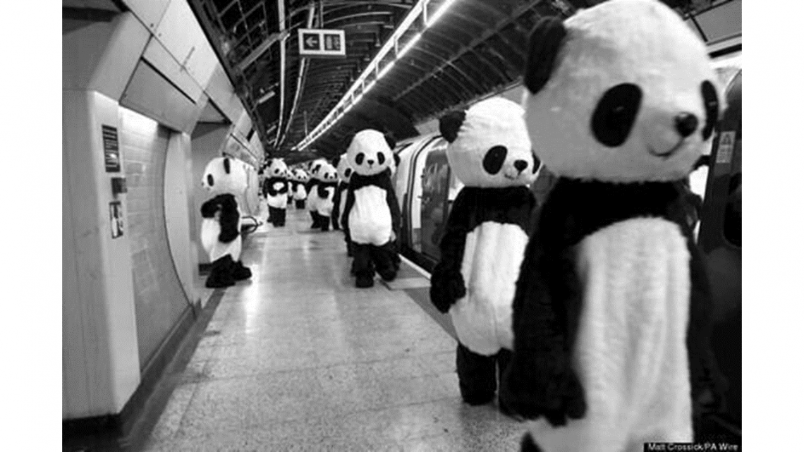 De la Pandemia, a la Operación Panda, checa esta historia de ciberseguridad