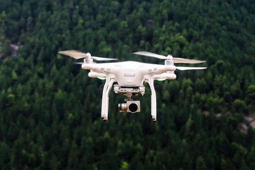 Beneficios de reforestar con drones