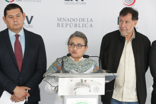 Multa de CRE a Iberdrola sanciona fraude a la ley que se comete a través de la figura de autoabasto: Aleida Alavez