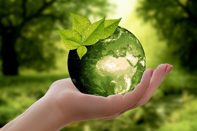 Grupo Bimbo lanza nueva estrategia de sustentabilidad