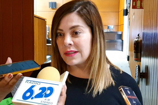 Asesoran Diputados para Evitar Despojo de Vivienda de Infonavit, Lilia Aguilar