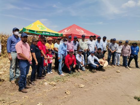 Sader y Gruma impulsan autosuficiencia de maíz en Tamaulipas