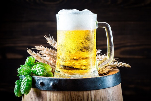 Sube 4.8% producción de cerveza en México hasta agosto