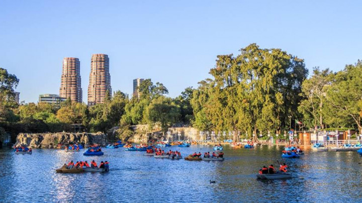 Crean alianza a favor del Bosque de Chapultepec