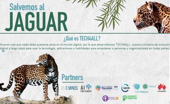 Detectan con IA más jaguares vivos en Reserva de Yucatán