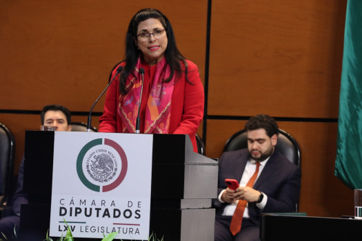 Promete Marcela Guerra Aprobar Presupuesto 2024 que Combata la Desigualdad