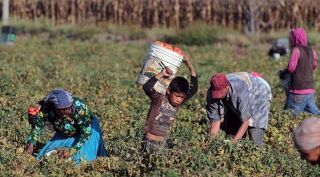 De 2015 a la fecha se mantiene en ascenso el trabajo Infantil en México, INEGI