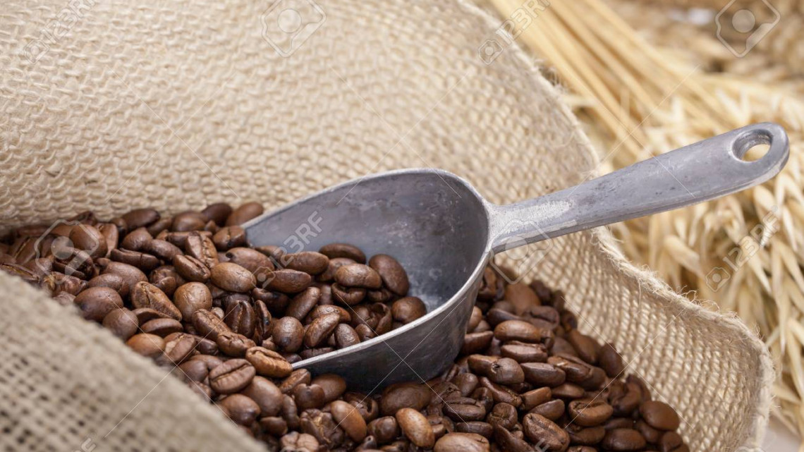 Respalda Senado Acuerdo Internacional en Apoyo a Producción de Café
