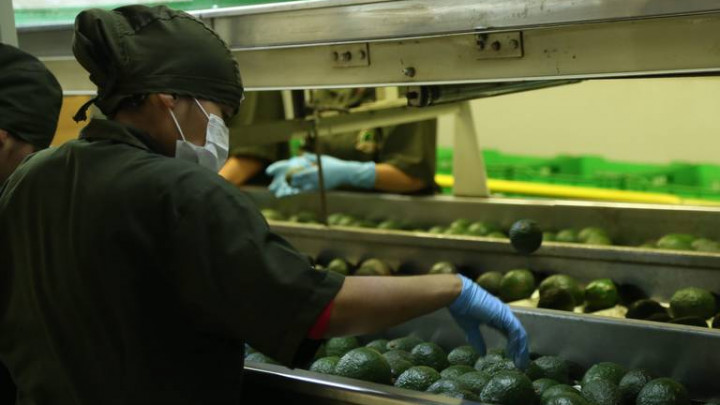 Injerencia Patronal contra los Derechos de los Trabajadores en RV Fresh Foods