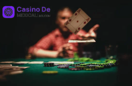 Criterios prioritarios de Casinodemexicali.com.mx en el mundo de los casinos en línea