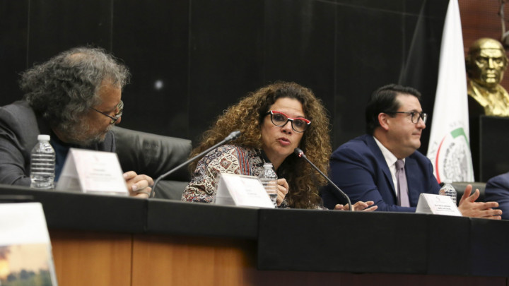 Avanza el Abasto de Energía en Todo el País, Rocío Abreu