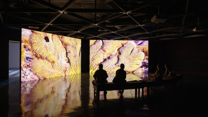 Arte contemporáneo, cine y performance destacan en la 15ª Bienal FEMSA de Guanajuato