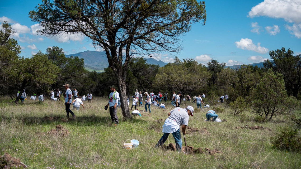 Tlaxcala fomenta conservación ambiental con esfuerzos colaborativos