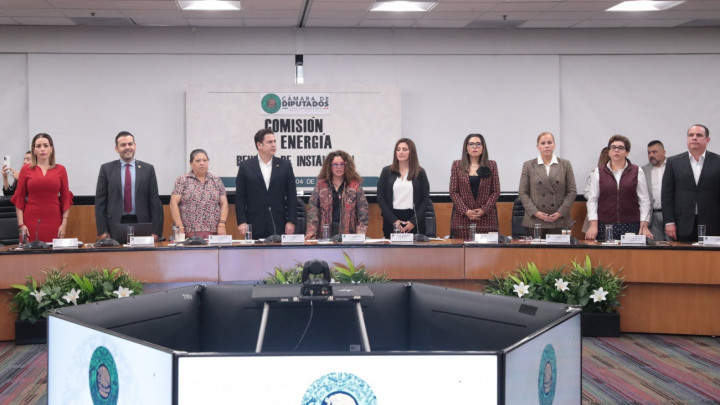 Impulsaran Diputados Sector Energético para Satisfacer la Demanda Interna, Rocio Abreu