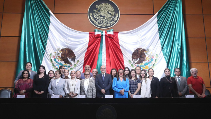 Trabajador Informal se Incorporará a la Formalidad, Diputados
