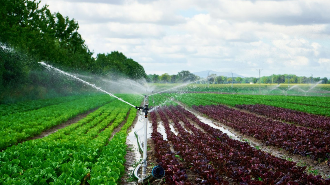 E-commerce transforma la agricultura, Rotoplas ofrece soluciones hídricas digitales