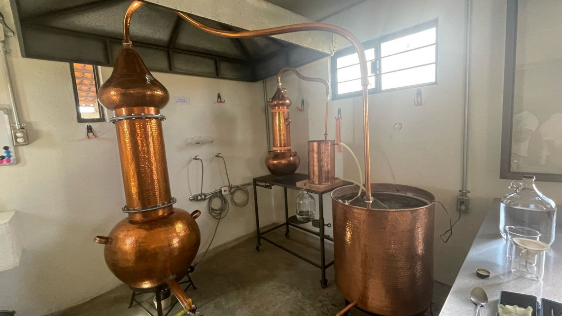 El destilado de pulque NSOKI transforma la tradición de Nopala en un producto innovador
