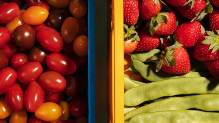 Repunta Inflación en Noviembre; INEGI lo ubica en  3.80%