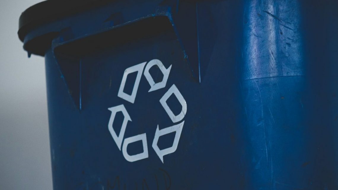 Contenedores de basura con ruedas o fijos: ¿Cuál le conviene a tu negocio? Contenedores de basura con ruedas o fijos: ¿Cuál le conviene a tu negocio?