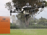 DJI dron