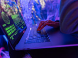 Foto: Pexels, Cortesía Akamai