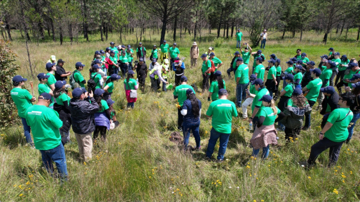 Profundiza industria de vehículos pesados su compromiso ambiental con la Reforestación ANPACT 2025