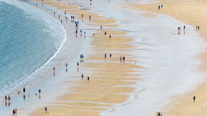 Libres las Playas de México para Cualquier Ciudadano, Diputados