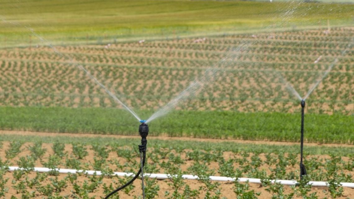 Soluciones hidráulicas en México: innovación tecnológica para un futuro sostenible Soluciones hidráulicas en México: innovación tecnológica para un futuro sostenible