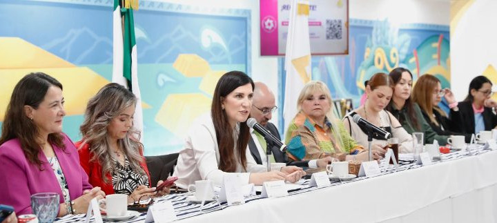 Congreso debe contribuir a construir reglas fiscales simples y predecibles: Kenia López Rabadán