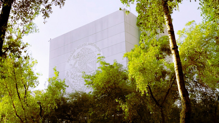 En Enero, Venta de Altos Hornos de México, Síndico