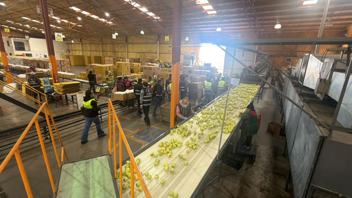 Relanzan marca Manzanas el Indio con metodología de Balam Relanzan marca Manzanas el Indio con metodología de Balam