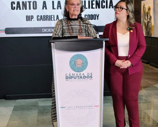 Migración Fundamental para Darle Cultura y Lenguaje a México,  Dana Aerenlund