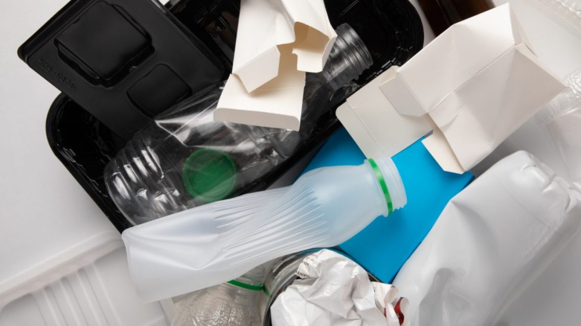 Guía rápida: Nuevo sistema de separación de residuos en CDMX