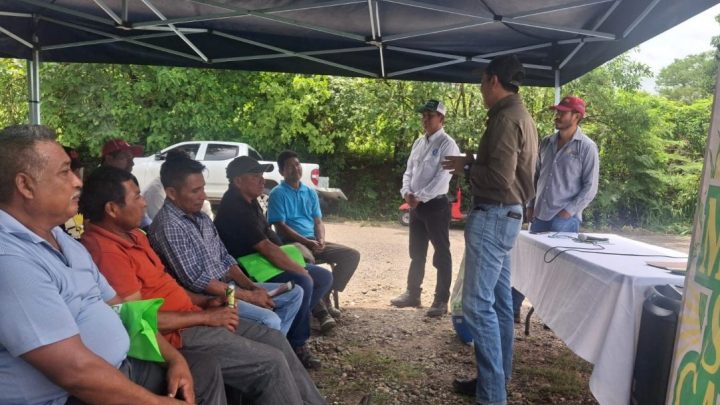 Grupo Maseca impulsa producción de maíz blanco en región Centro-Sur de México