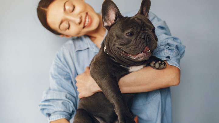 Propone PRI Deducir ISR en el Gasto de Mascotas en Veterinarias