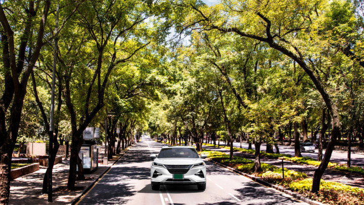 7 ventajas de rentar un auto para conocer la CDMX