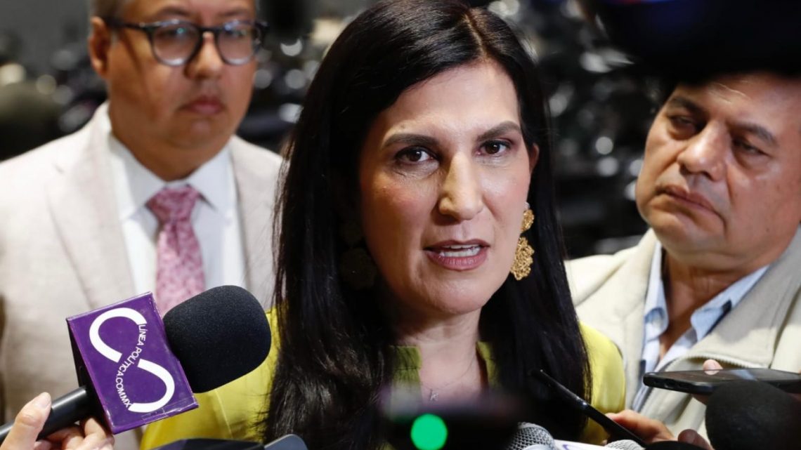 Constitucional, la Limitación a las Jubilaciones y Pensiones Publicas Constitucional, la Limitación a las Jubilaciones y Pensiones Publicas