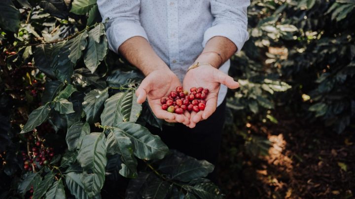 CAFFENIO apuesta por la innovación y la expansión al cumplir 85 años