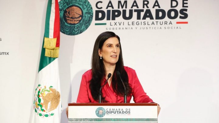 Pide López Rabadán que Gobierno Investigue Desapariciones con Apoyo del Exterior